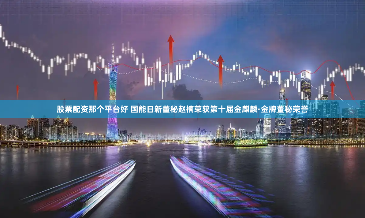 股票配资那个平台好 国能日新董秘赵楠荣获第十届金麒麟·金牌董秘荣誉