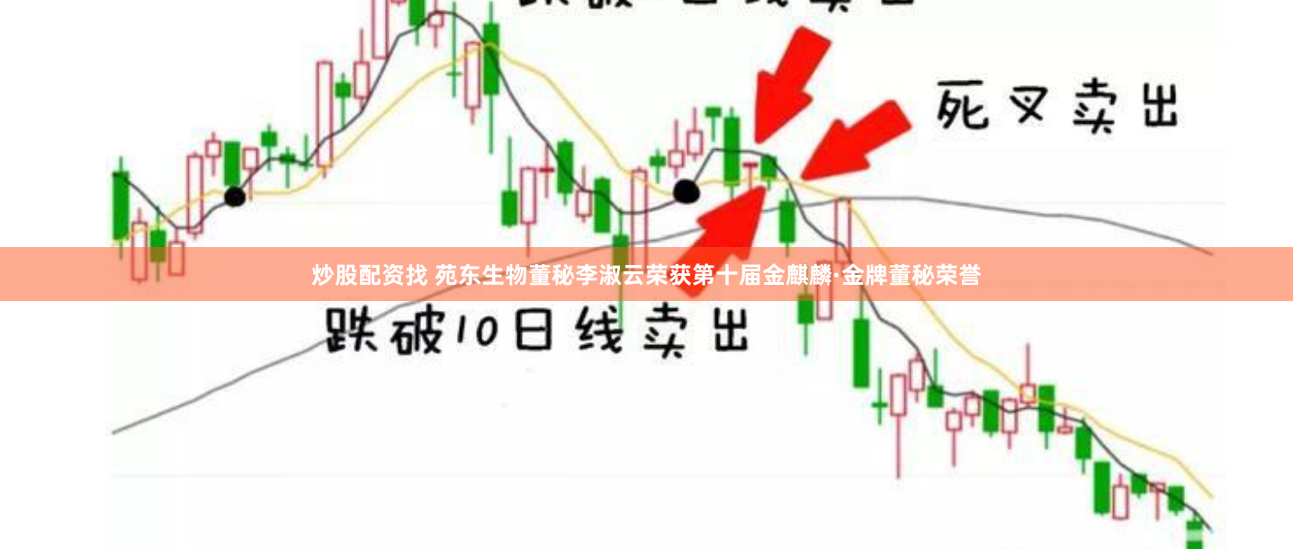 炒股配资找 苑东生物董秘李淑云荣获第十届金麒麟·金牌董秘荣誉