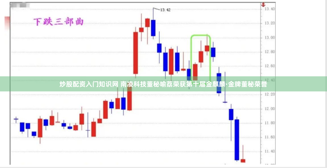 炒股配资入门知识网 南凌科技董秘喻荔荣获第十届金麒麟·金牌董秘荣誉