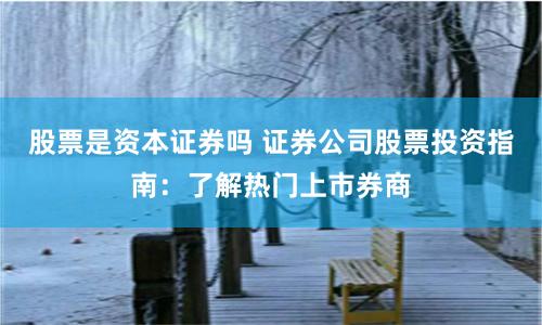 股票是资本证券吗 证券公司股票投资指南：了解热门上市券商