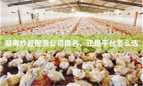 湖南炒股配资公司排名，正规平台怎么选