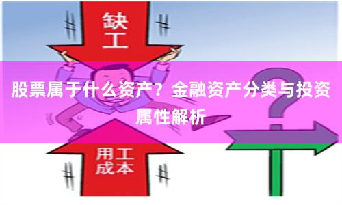 股票属于什么资产？金融资产分类与投资属性解析